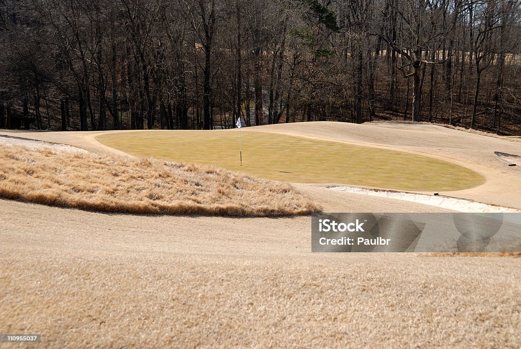 golf verde na georgia usa no Inverno - Royalty-free Ao Ar Livre Foto de stock
