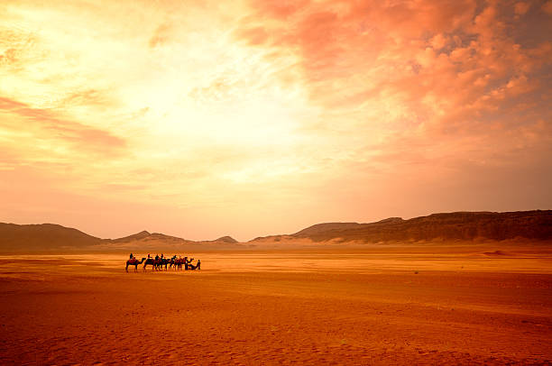 istock Camel Trekking - Sahara Desert 111764306