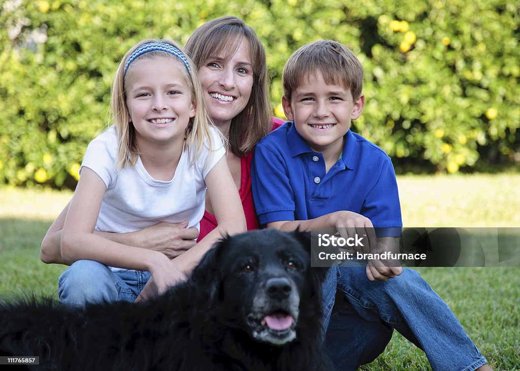 Family with dog  Child Stock Photo