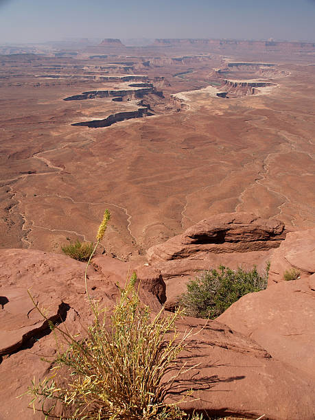 istock Canyonlands National Park 111779280
