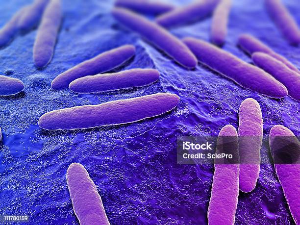 Бактерии Иллюстрация — стоковые фотографии и другие картинки Бактерия - Бактерия, Без людей, Биология