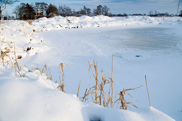пруд в зимний день - eisfläche стоковые фото и изображения