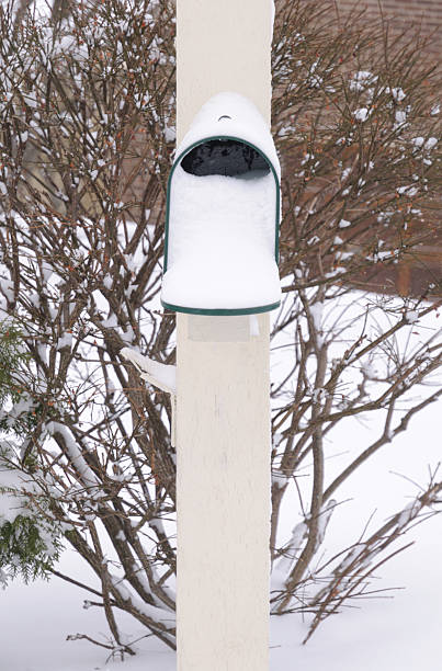 istock Blizzard delivered to your mailbox 111791315