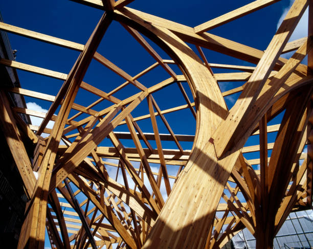 istock Complex curving wooden frame of a building under construction 111794043
