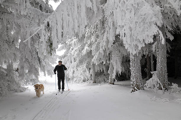 男性、犬には、スキーのパラダイスオーストリア - mens cross country skiing ストックフォトと画像