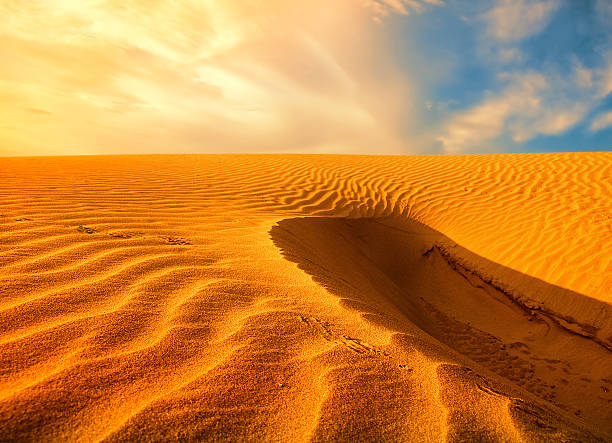 istock sand dunes in the desert 111800842