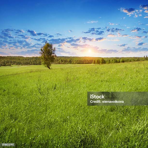 Paisaje De Verano Al Atardecer Foto de stock y más banco de imágenes de Aire libre - Aire libre, Amarillo - Color, Azul