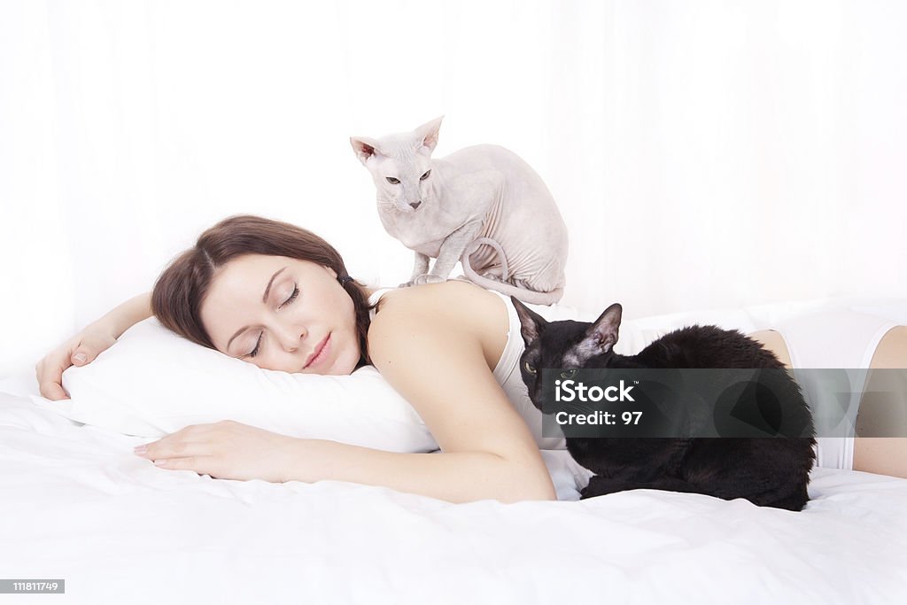 Das schöne Frau schläft im Bett mit Katzen - Lizenzfrei Hauskatze Stock-Foto