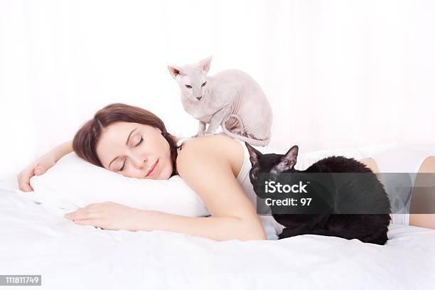 La Bella Donna Che Dorme In Un Letto Con Gatti - Fotografie stock e altre immagini di Gatto domestico - Gatto domestico, Donne, Dormire