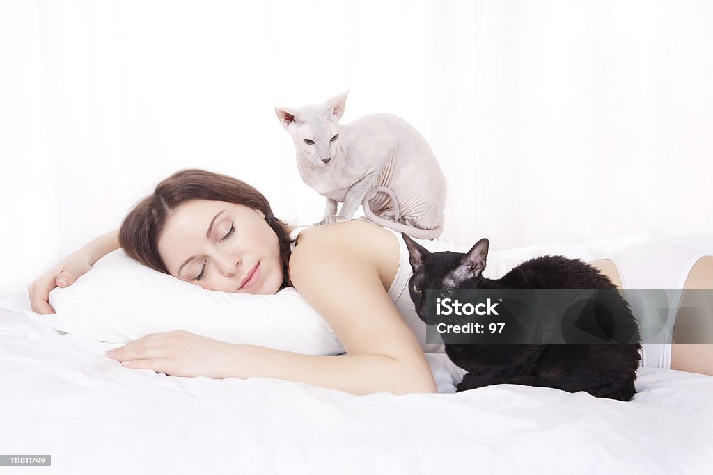 a bela mulher dorme em uma cama com gatos - Foto de stock de Gato doméstico royalty-free