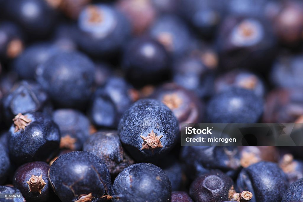 Huckleberries - Foto de stock de Mirtilo Norte-Americano royalty-free