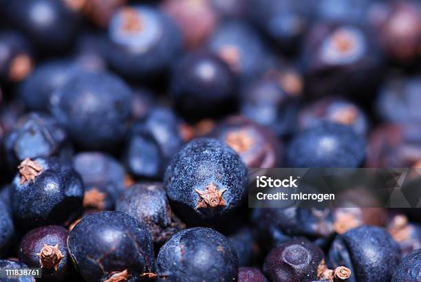 Foto de Huckleberries e mais fotos de stock de Mirtilo Norte-Americano - Mirtilo Norte-Americano, Sem cultivo, Alimentação Saudável