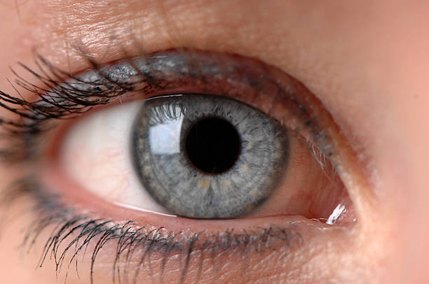 istock Blue Eyed Girl 111839602