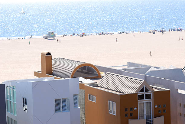 Orange County house and a Canary Island palm tree
