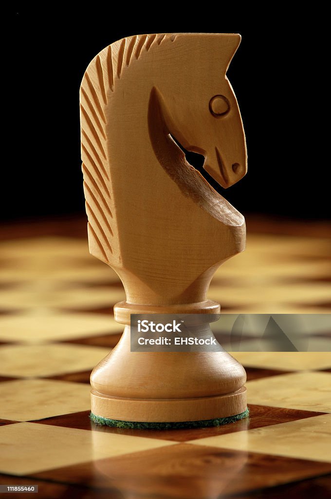 인명별 나이트 말 on Chessboard - 로열티 프리 0명 스톡 사진