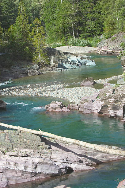 istock Meandering River in Glacier National Park 111859759