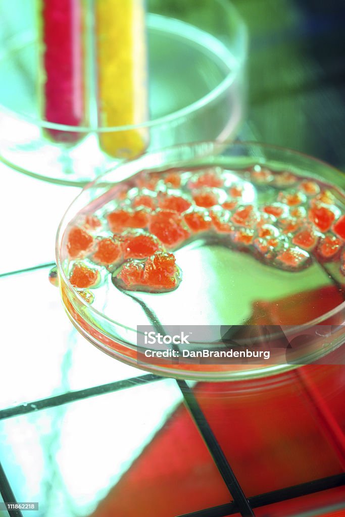 Scienza del colore - Foto stock royalty-free di Biologia