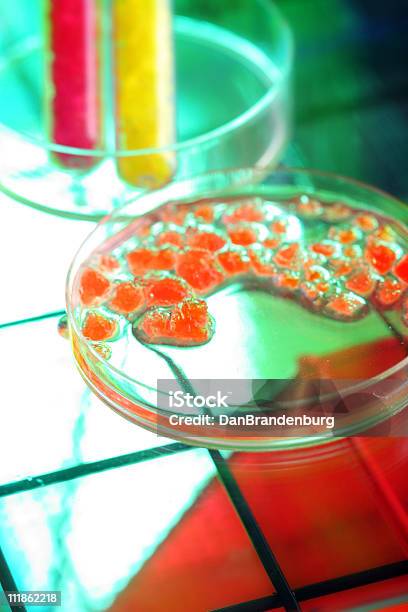 Scienza Del Colore - Fotografie stock e altre immagini di Biologia - Biologia, Chimica, Colore brillante