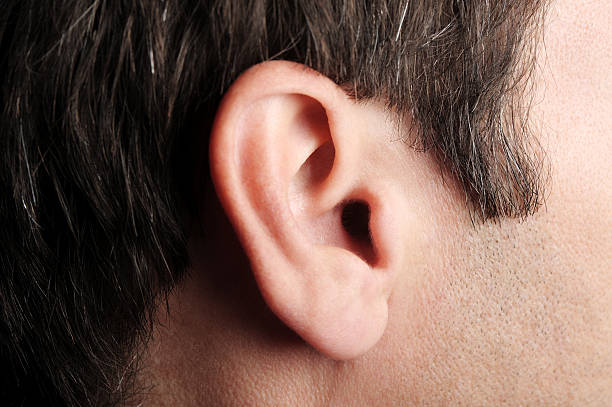 homme, gros plan extrême d'oreille - oreille humaine photos et images de collection