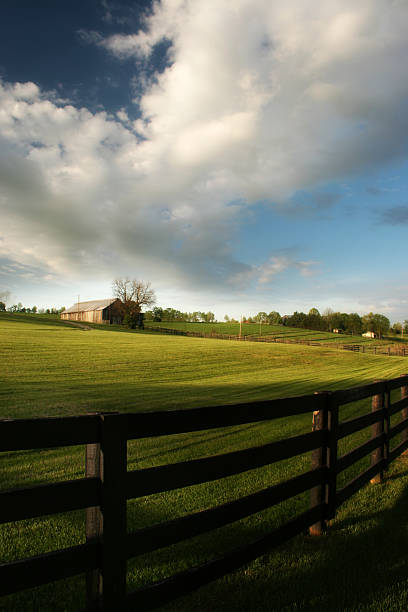 La campagne - Photo