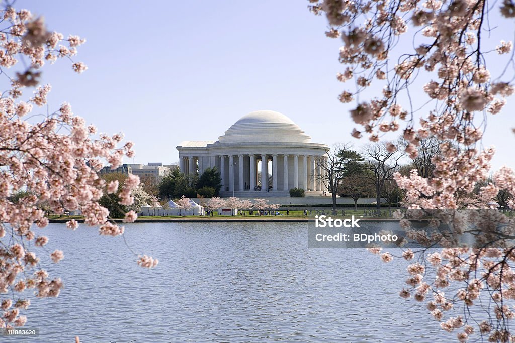 제퍼슨 기념관, 워싱턴 DC - 로열티 프리 벚꽃 스톡 사진