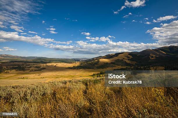 Große Und Leere Landschaft Stockfoto und mehr Bilder von Wyoming - Wyoming, Ebene, Montana