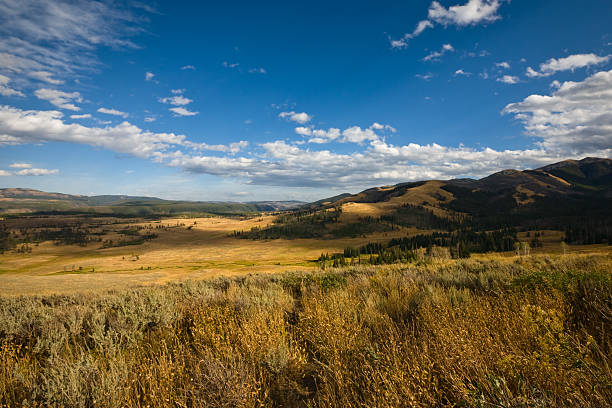 거대하고 엠티 풍경 - montana plain prairie mountain 뉴스 사진 이미지