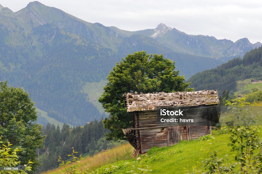 Деревенская в луг-Циллерталь (Австрия - Стоковые фото Австрия роялти-фри