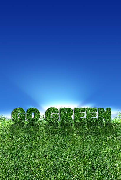 istock Go Green sign over fresh grass 111893151