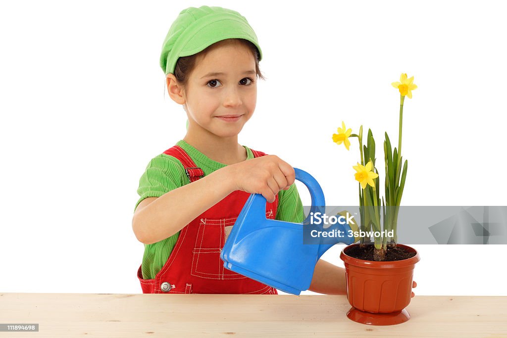 Kleines Mädchen gießen den daffodil - Lizenzfrei Bewässern Stock-Foto