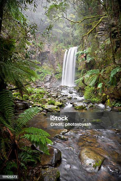 Водопад Хоптаун Фолс — стоковые фотографии и другие картинки Great Otway National Park - Great Otway National Park, Otway Ranges, Австралия - Австралазия