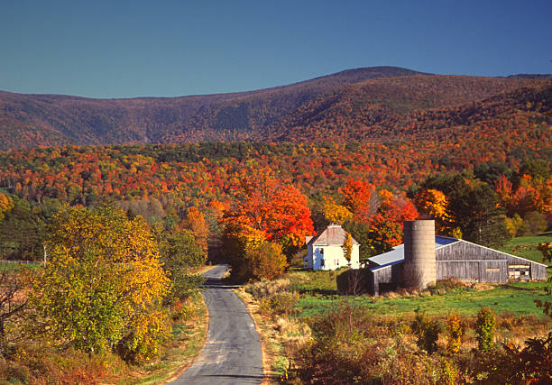 istock Autumn in the Berhires 111926089