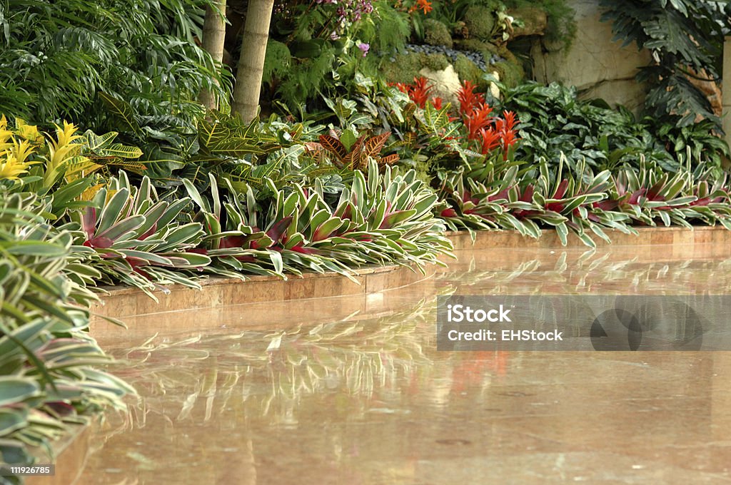 リゾートのロビーには、大理石の床と植物反射型 - カラー画像のロイヤリティフリーストックフォト