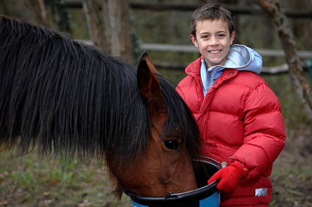 молодой мальчик feeding лошадь - horse child animal feeding стоковые фото и изображения