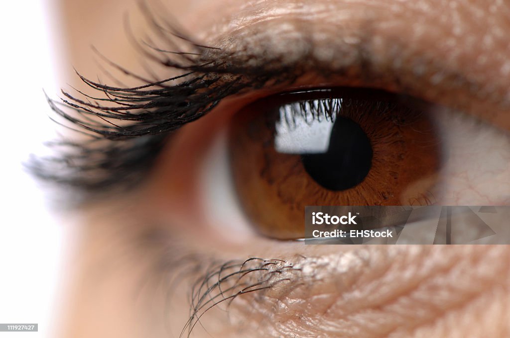 Olhos Castanhos - Royalty-free Admirar a Vista Foto de stock