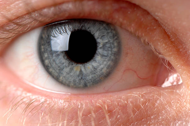 istock Woman's Blue Eye Close Up 111927430