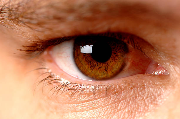 istock Man's Brown Eye Extreme Close up 111927434