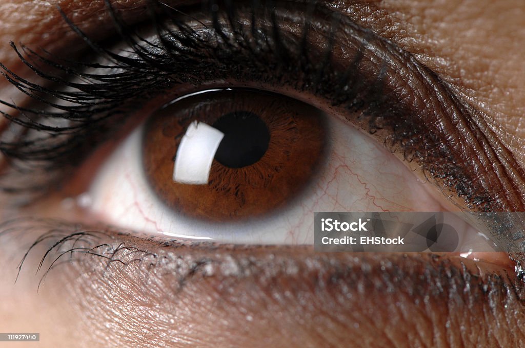 Brown Augen - Lizenzfrei Augapfel Stock-Foto