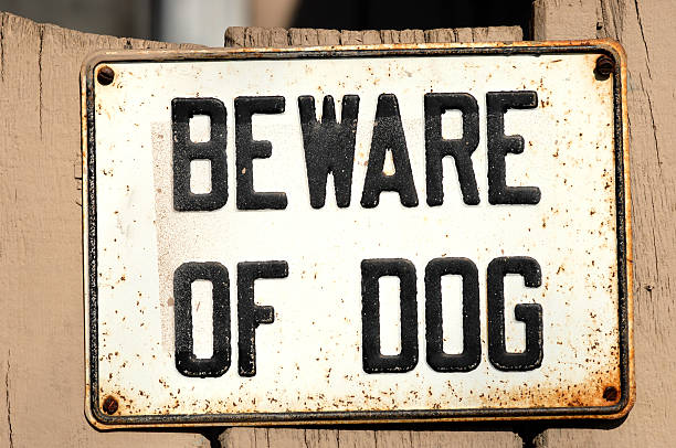 istock Beware of Dog sign 111928462