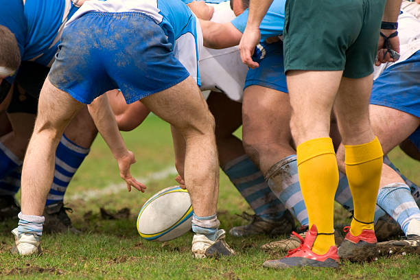a put in at a scrum during a rugby match - rugby scrum stockfoto's en -beelden