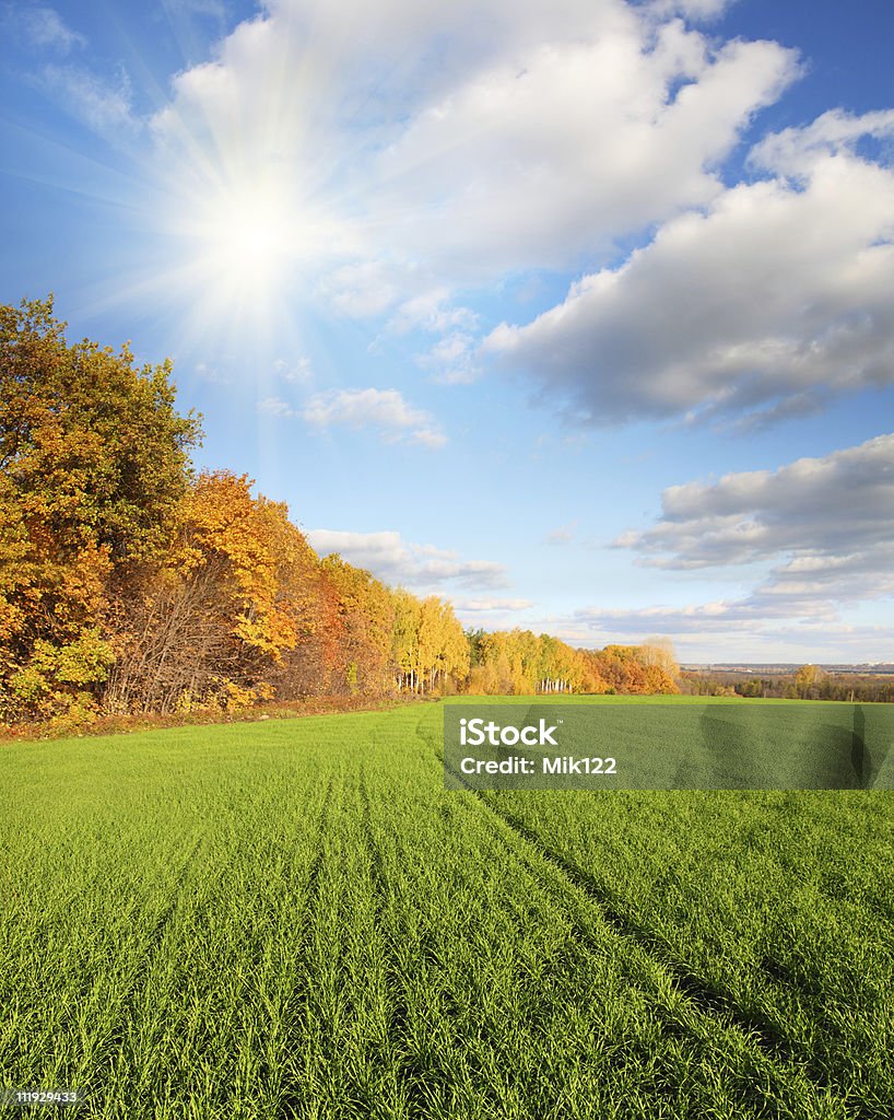 Осенний пейзаж с зеленого поля - Стоковые фото Без лю�дей роялти-фри
