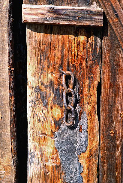 istock Old door detail 111931696