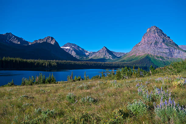 istock Two Medicine Lake, Glacier National Park 111933350