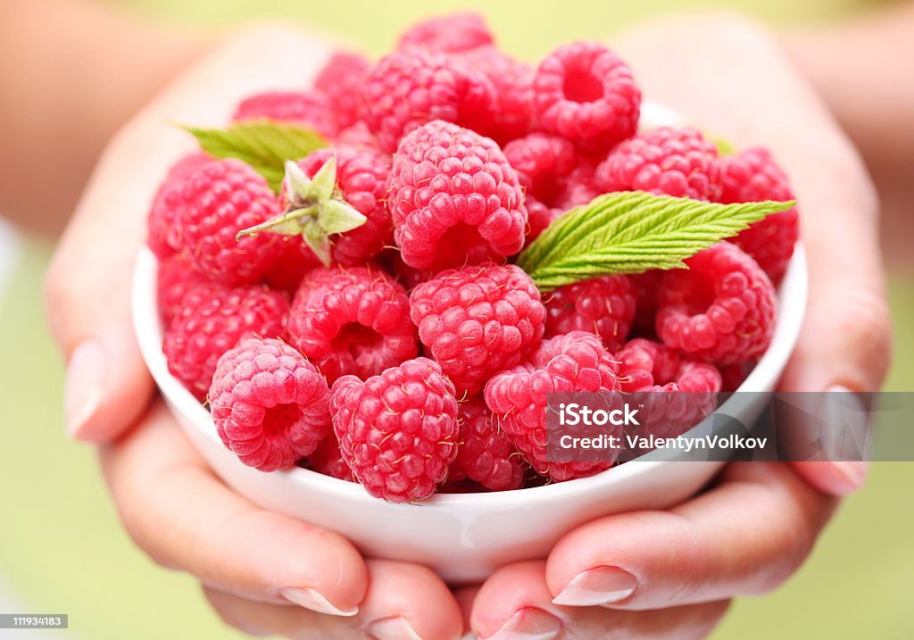 Crockery with raspberries in woman hands.  Adult Stock Photo
