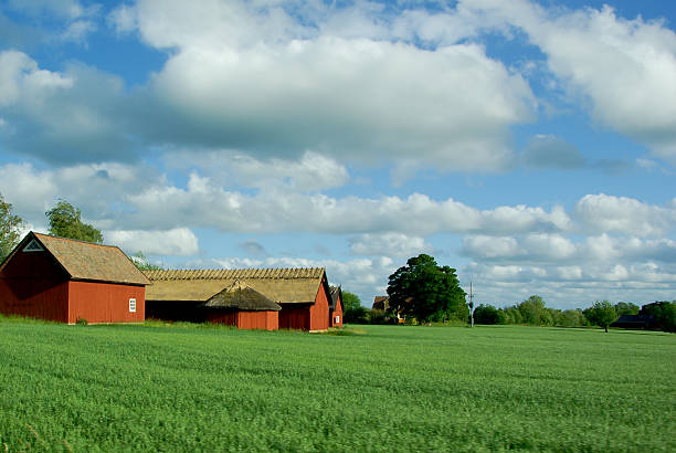 istock Rural landscape with red barns and green fields. 111935684