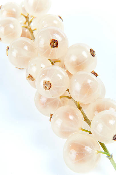 istock Bunch of Ribes on a white background 111935881