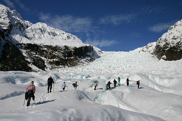 gletscher zu fuß - westland stock-fotos und bilder