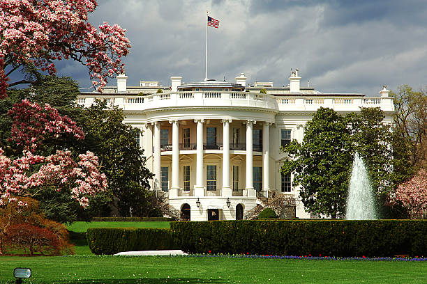 sur de la fachada de la casa blanca y cerezos en flor. - white house washington dc american flag president fotografías e imágenes de stock