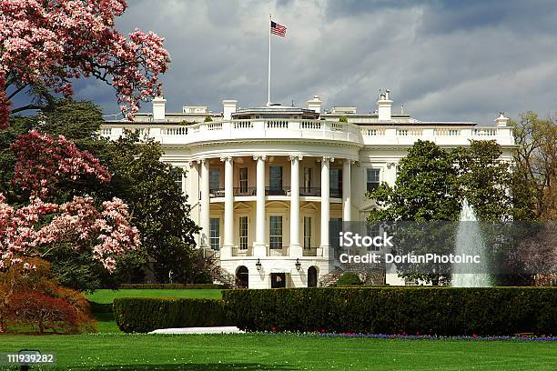 南の正面玄関はホワイトハウスまさに桜のシーズン - ワシントンDC ホワイトハウスのストックフォトや画像を多数ご用意 - ワシントンDC ホワイトハウス, 写真, 南