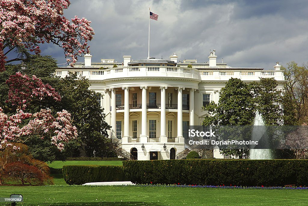 Sul da fachada da Casa Branca, com flores de cerejeira. - Foto de stock de Casa Branca - Washington DC royalty-free